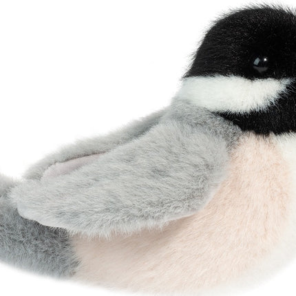 Chipper Chickadee