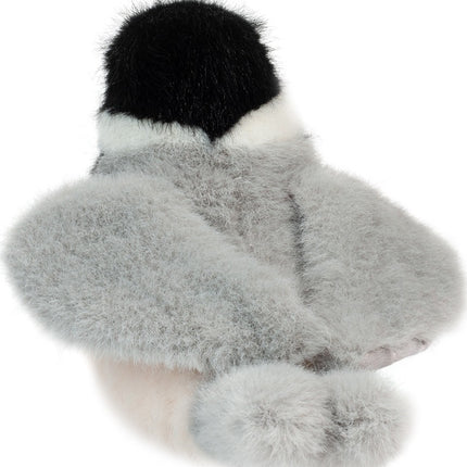 Chipper Chickadee