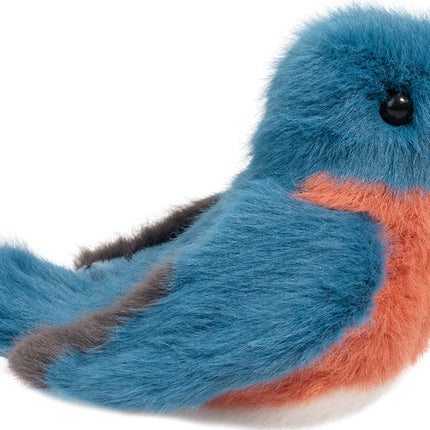 Bertie Bluebird