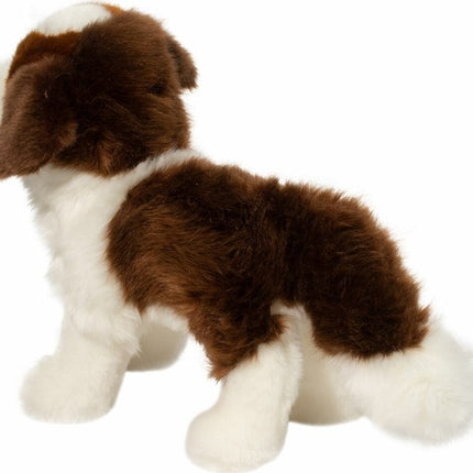 Brutus St. Bernard
