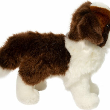 Brutus St. Bernard