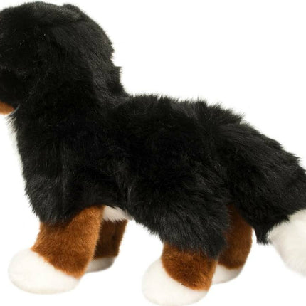 Stevie Bernese Mountain Dog