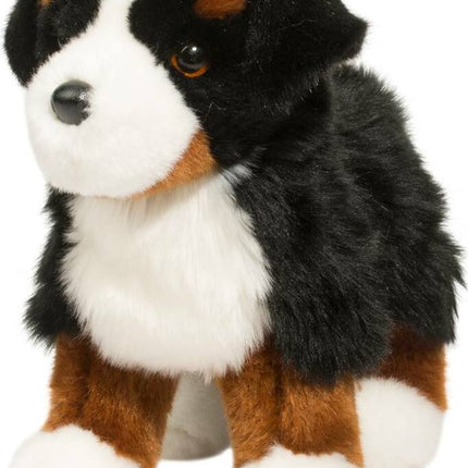 Stevie Bernese Mountain Dog