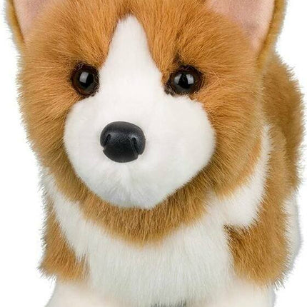 Louie Corgi