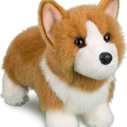 Louie Corgi
