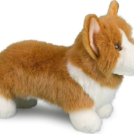 Louie Corgi