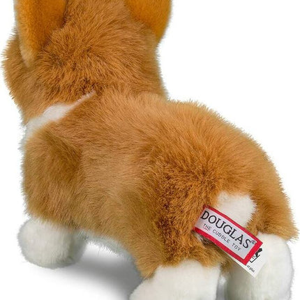 Louie Corgi