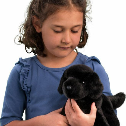 Bear Black Lab