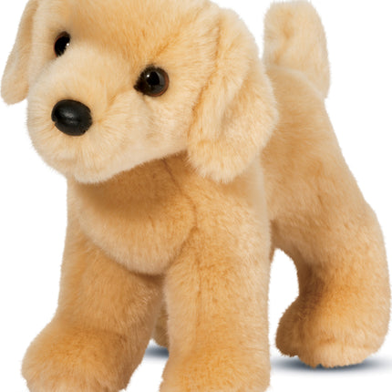 Zach Yellow Lab