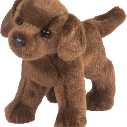 Tucker Chocolate Lab
