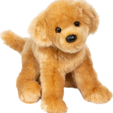 Bella Golden Retriever