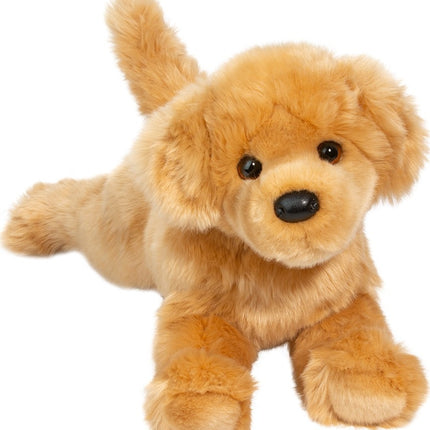 Bella Golden Retriever