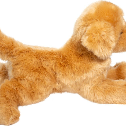 Bella Golden Retriever