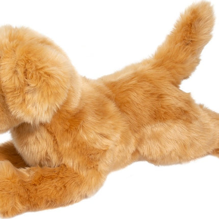 Bella Golden Retriever