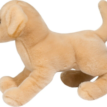 Mandy Yellow Lab