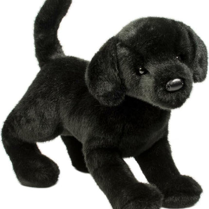 Chester Black Lab