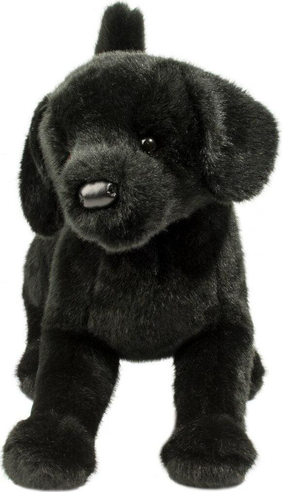 Chester Black Lab