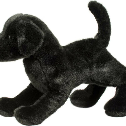 Chester Black Lab