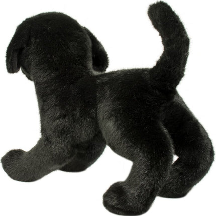 Chester Black Lab