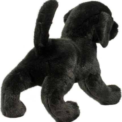 Chester Black Lab