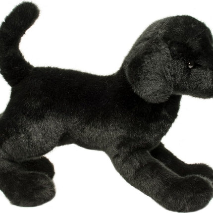 Chester Black Lab
