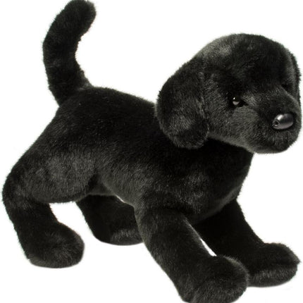 Chester Black Lab
