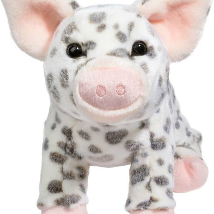 Pauline Spotted Pig, Medium
