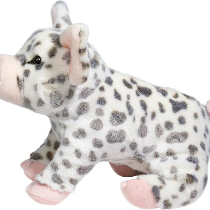 Pauline Spotted Pig, Medium