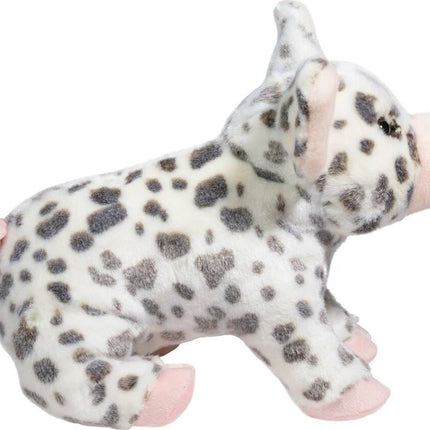 Pauline Spotted Pig, Medium