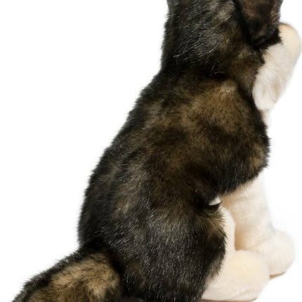 Atka Wolf