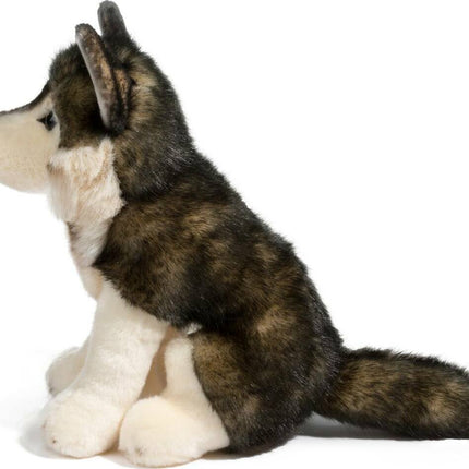 Atka Wolf