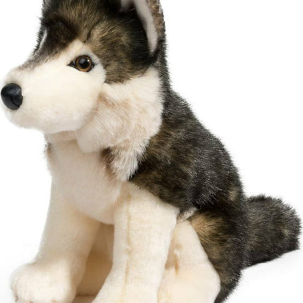 Atka Wolf