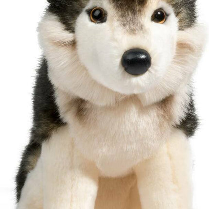 Atka Wolf