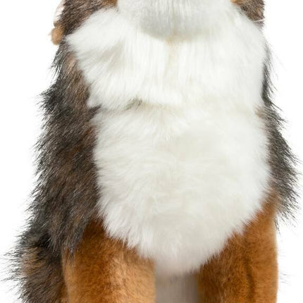 Rambler Coyote