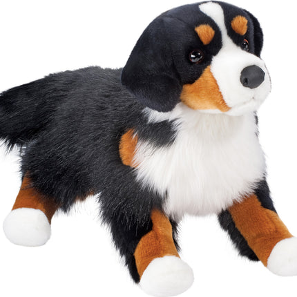 Alps Bernese Mountain Dog
