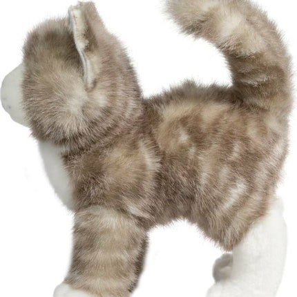 Zipper Gray Tabby Cat