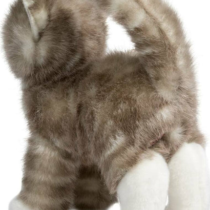 Zipper Gray Tabby Cat
