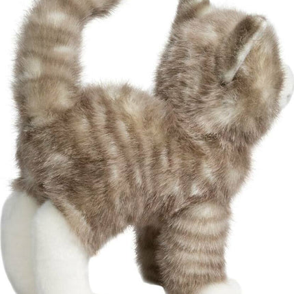 Zipper Gray Tabby Cat