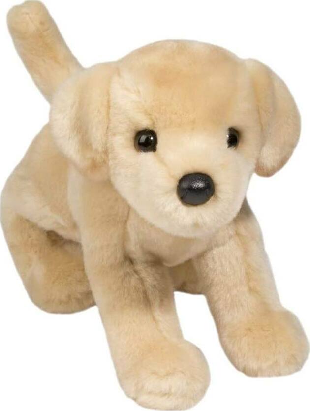 Spankie Yellow Lab