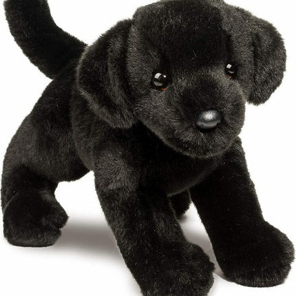 Brewster Black Lab