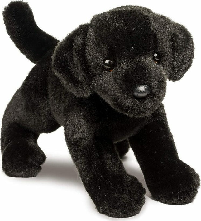 Brewster Black Lab