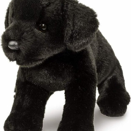 Brewster Black Lab