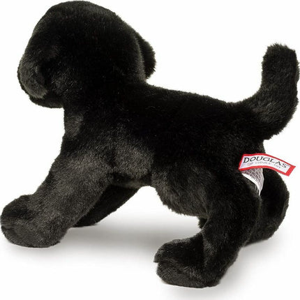 Brewster Black Lab