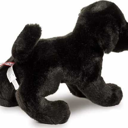 Brewster Black Lab