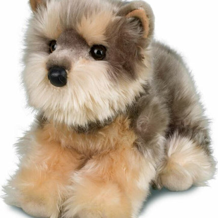 Yettie Yorkie