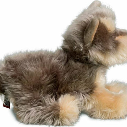 Yettie Yorkie