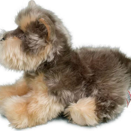 Yettie Yorkie