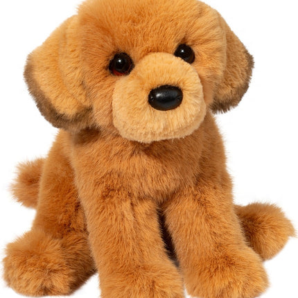 August Golden Retriever