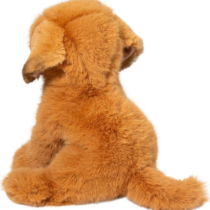 August Golden Retriever