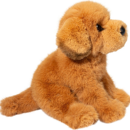 August Golden Retriever